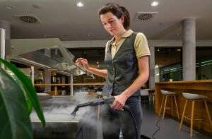 Kärcher Steam Cleaner SG 4/2 Classic: Application