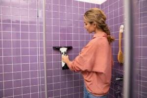 Kärcher WV 5 Plus Window Vac