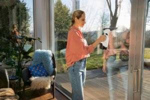 Kärcher WV 5 Plus Window Vac